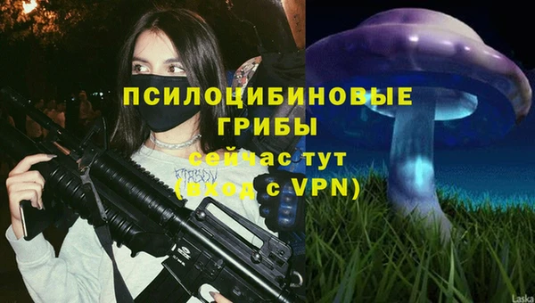 амф Козловка